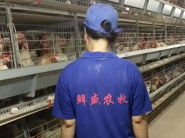 全自动化智能标准化生产