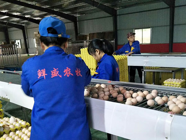 全自动化智能标准化生产