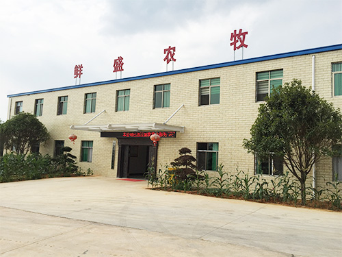公司前门
