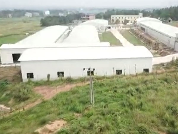 鲜盛公司生态养殖基地