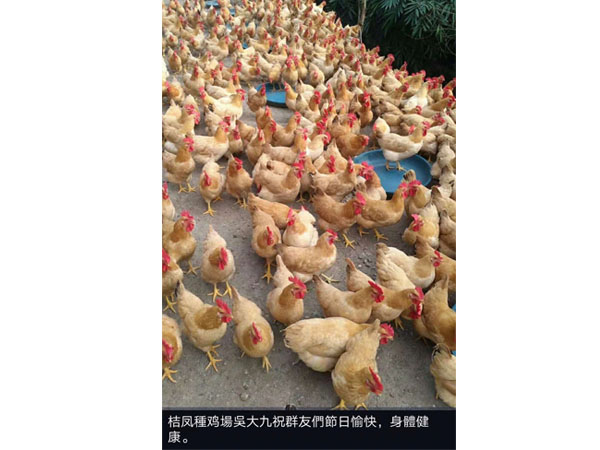 鲜盛养殖基地视频