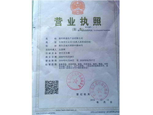 公司营业执照