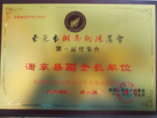 衡东县副会长单位