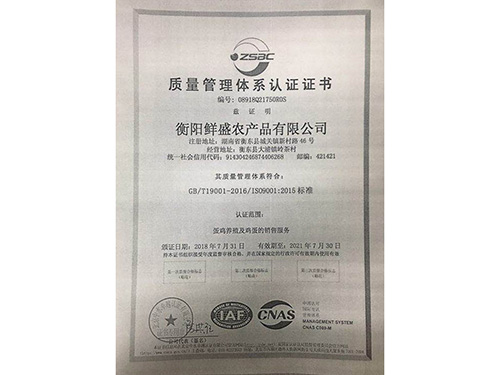 质量管理体系认证证书