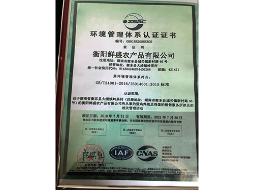 环境管理体系认证证书